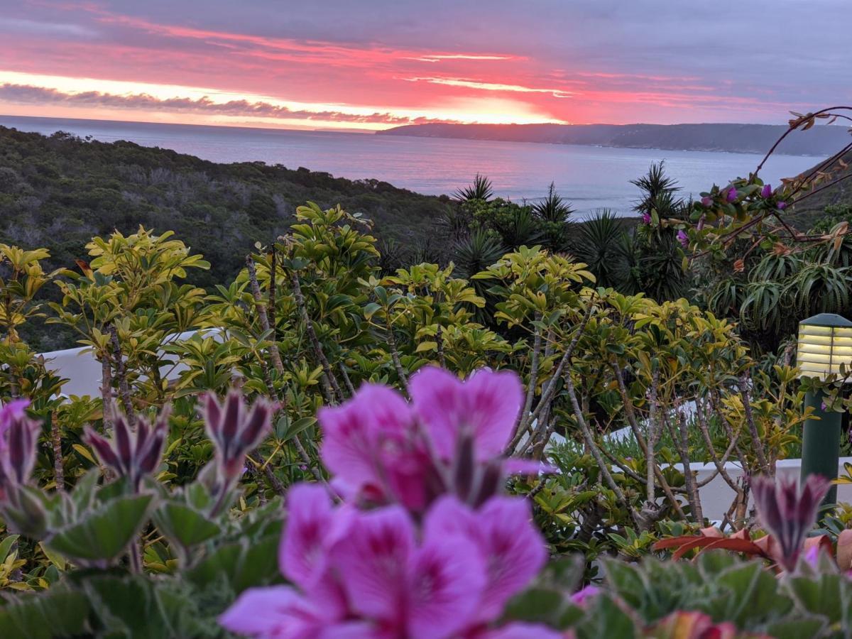 Villa Cape Garden Route Уилдернесс Экстерьер фото